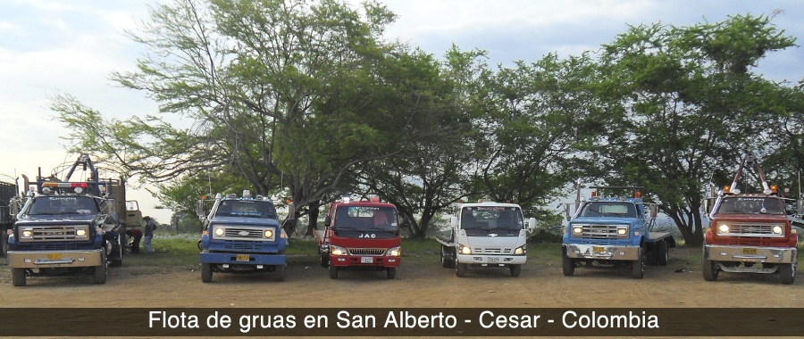 flota de gruas en san alberto