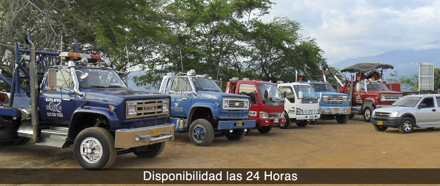 gruas disponibles en san alberto